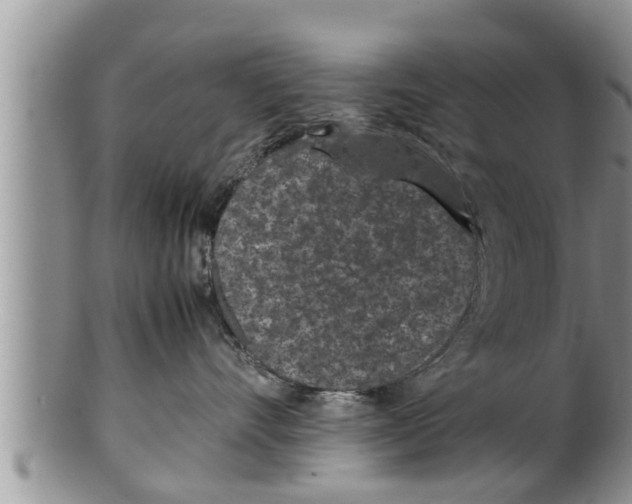 X0000100190528200806201400