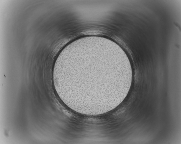 X0000100190529200806201359