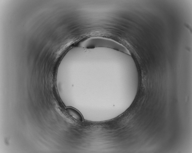 X0000100190530200806201359