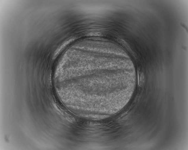 X0000100190531200806201359