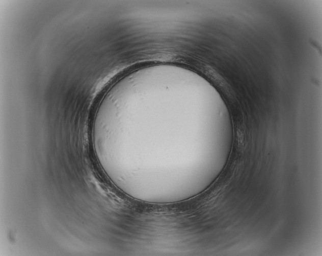 X0000100190532200806201359