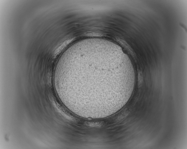 X0000100190533200806201359