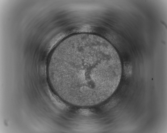 X0000100190534200806201359