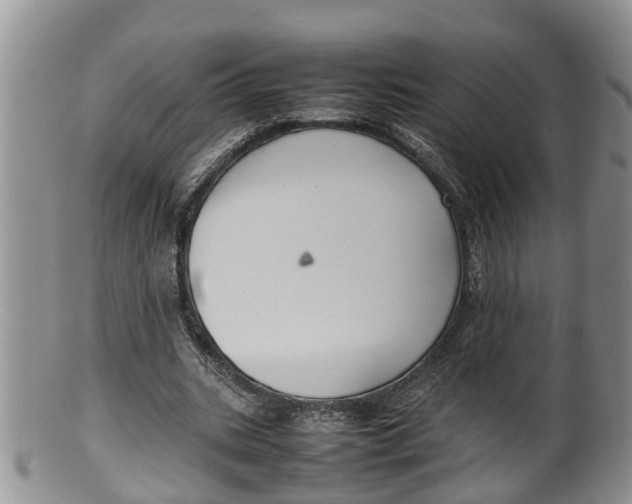 X0000100190535200806201359