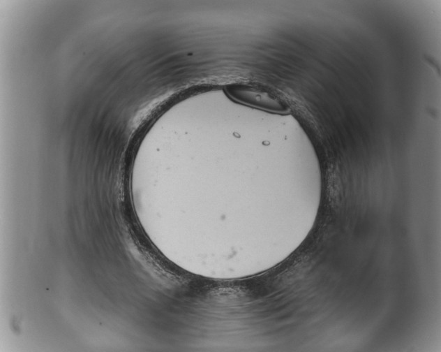 X0000100190536200806201359