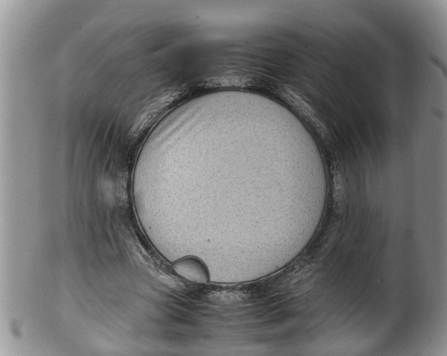 X0000100190537200806201359