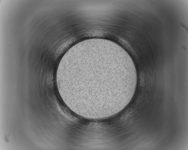 X0000100190538200806201359