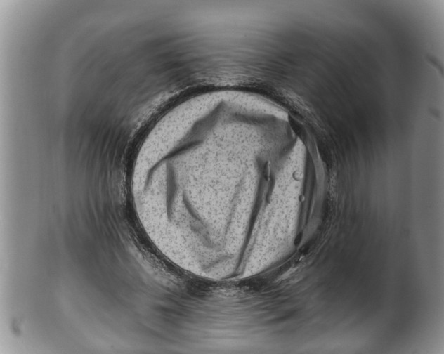 X0000100190540200806201400