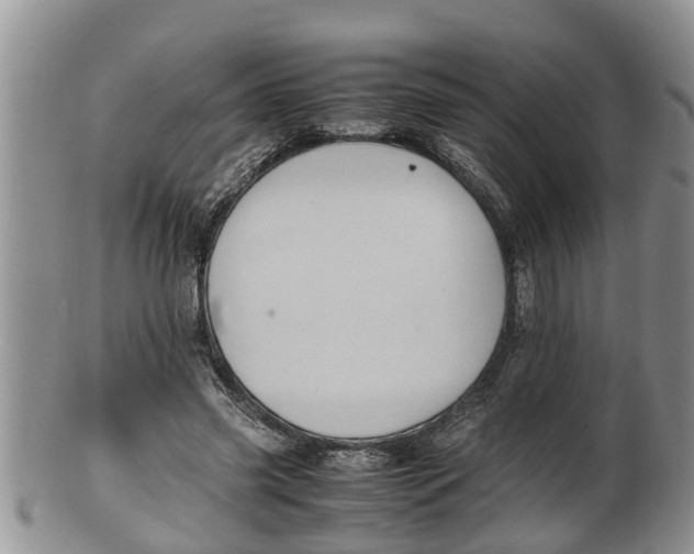 X0000100190541200806201400
