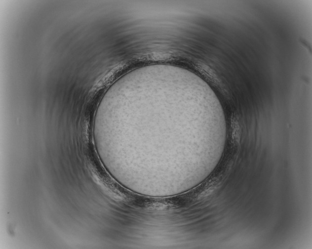 X0000100190542200806201400