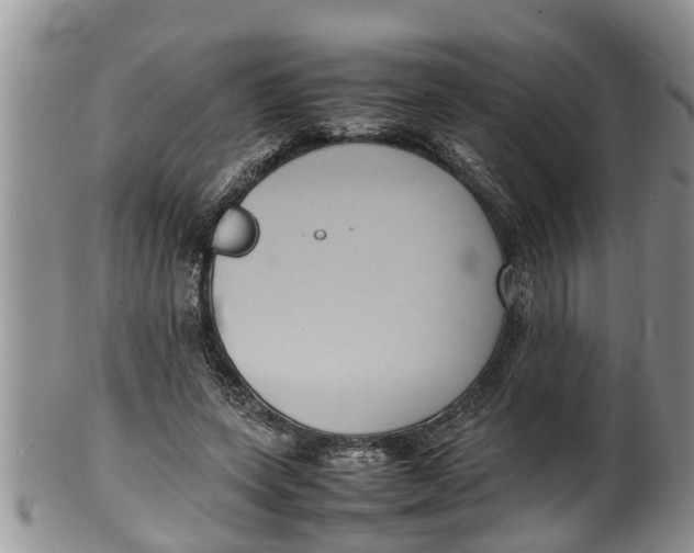 X0000100190543200806201400