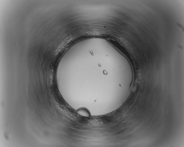 X0000100190544200806201400