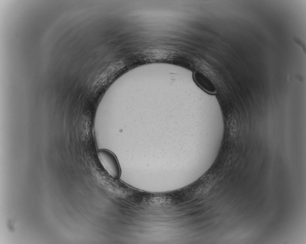 X0000100190546200806201400