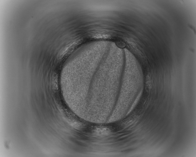 X0000100190547200806201400