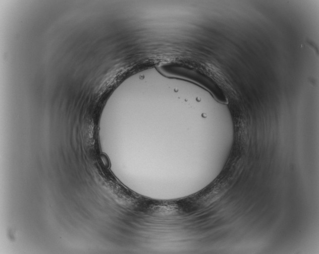 X0000100190548200806201400