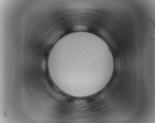 X0000100190549200806201400