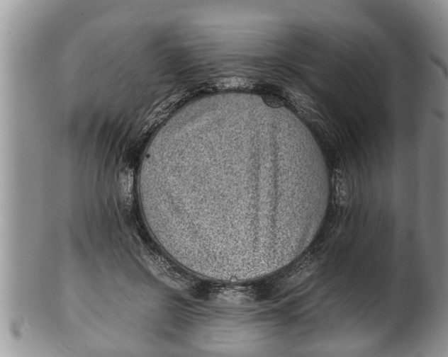 X0000100190550200806201400