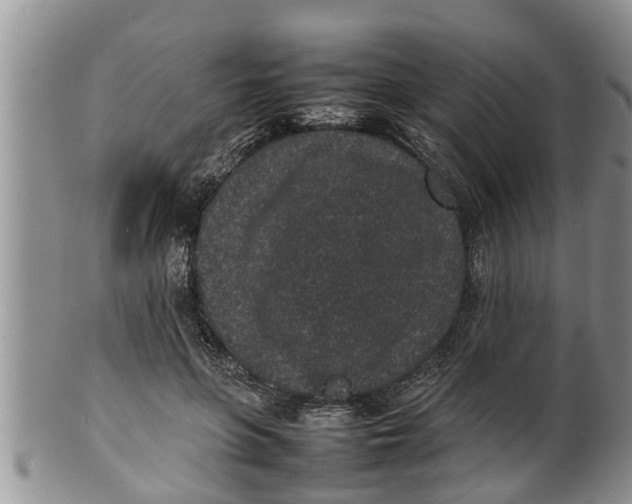 X0000100190551200806201400