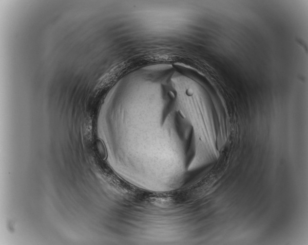 X0000100190552200806201400