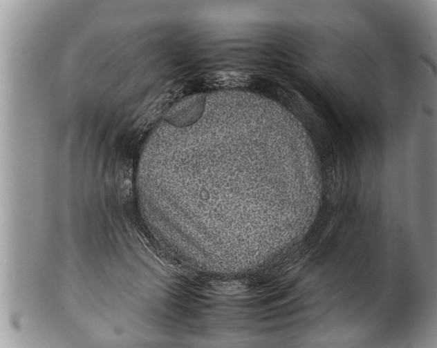 X0000100190553200806201400
