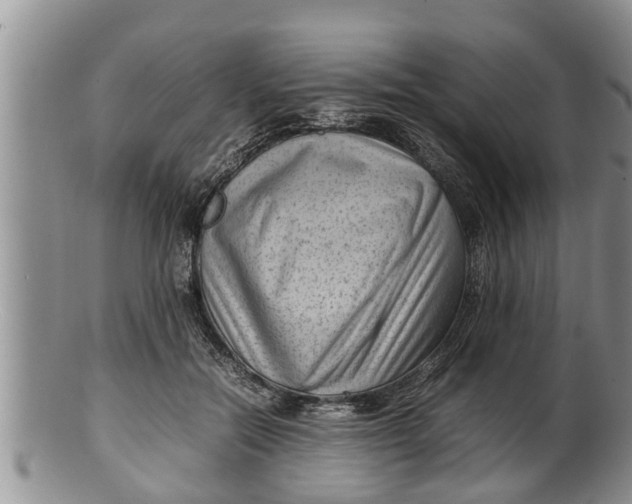 X0000100190554200806201400