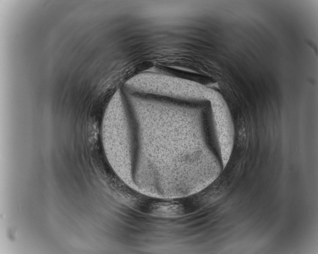 X0000100190555200806201400