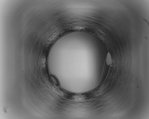 X0000100190556200806201400