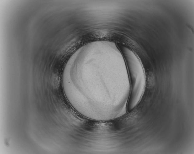 X0000100190558200806201400