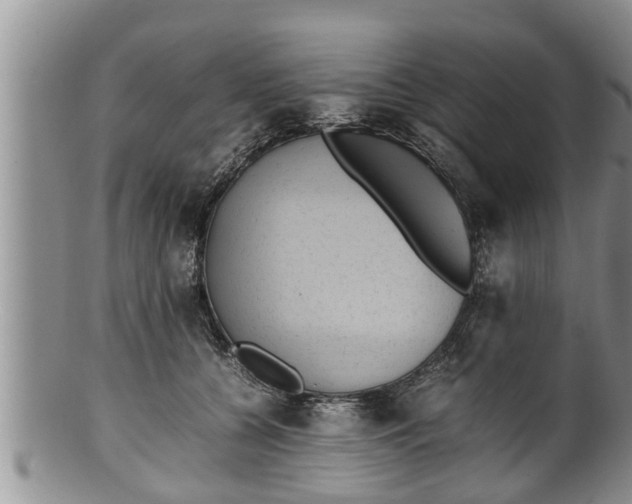 X0000100190560200806201400