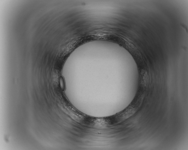 X0000100190562200806201400