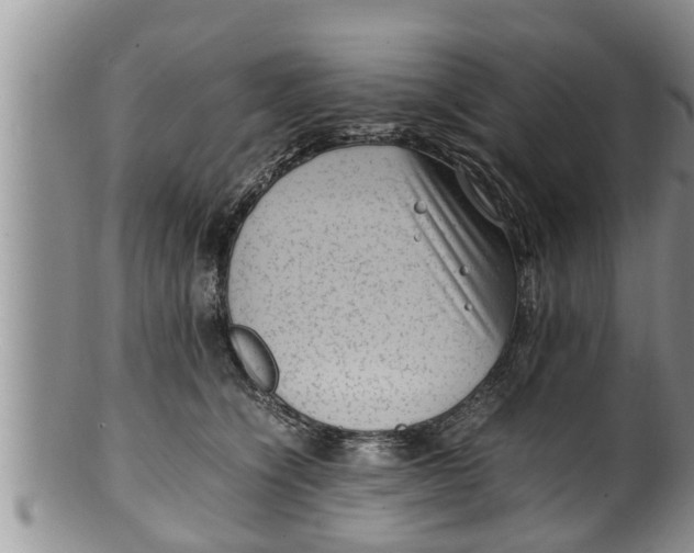 X0000100190564200806201400