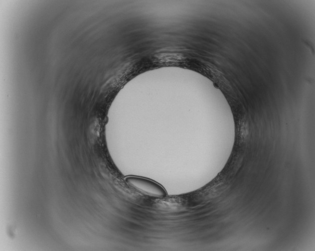 X0000100190567200806201400