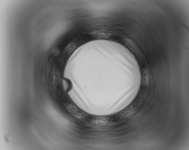 X0000100190573200806201400
