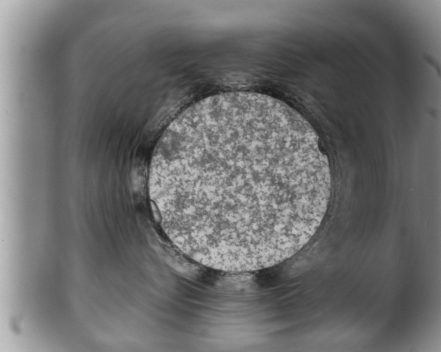 X0000100190576200806201400