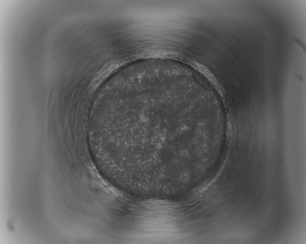 X0000100190577200806201359