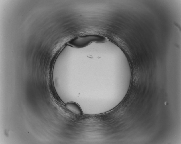 X0000100190578200806201359