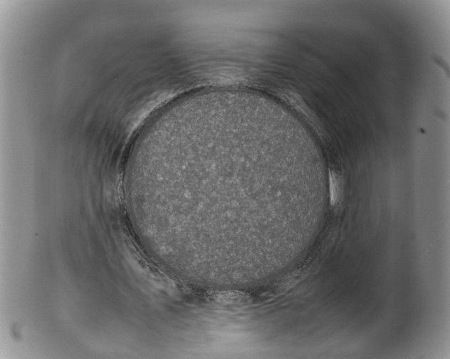 X0000100190579200806201359