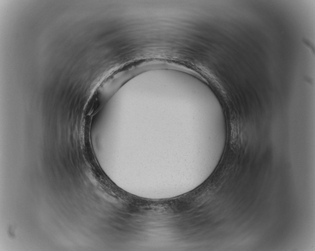 X0000100190580200806201359