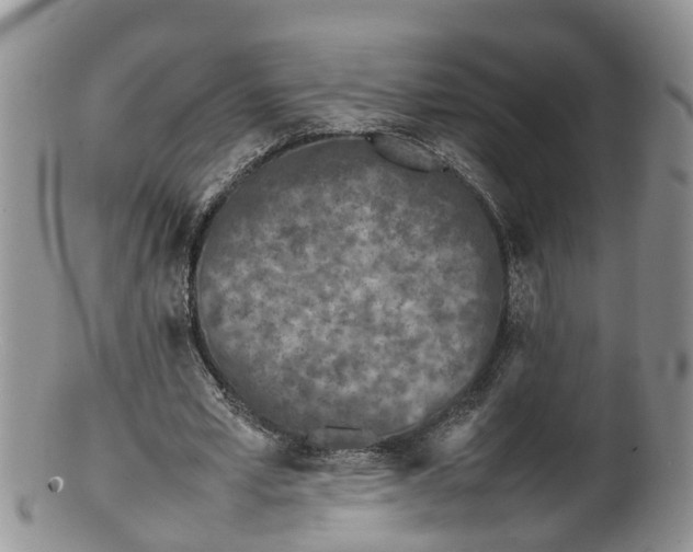 X0000100190581200806201359