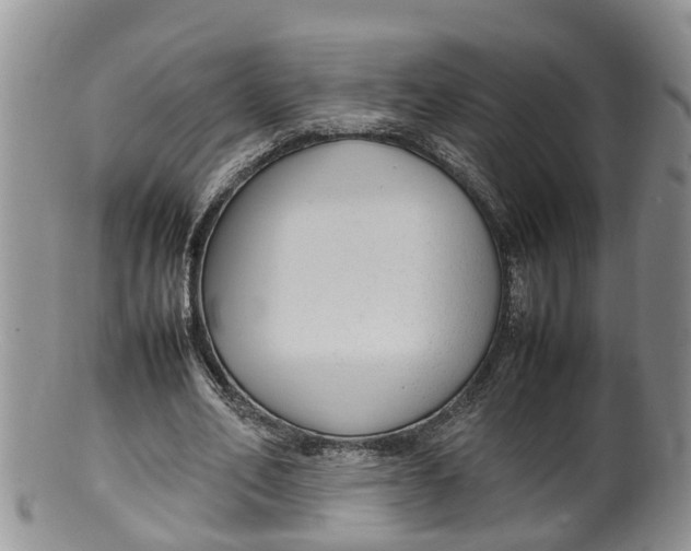 X0000100190582200806201359
