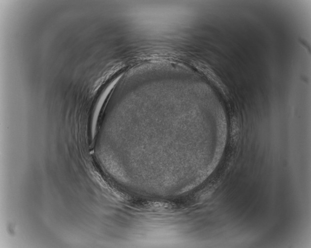 X0000100190585200806201359