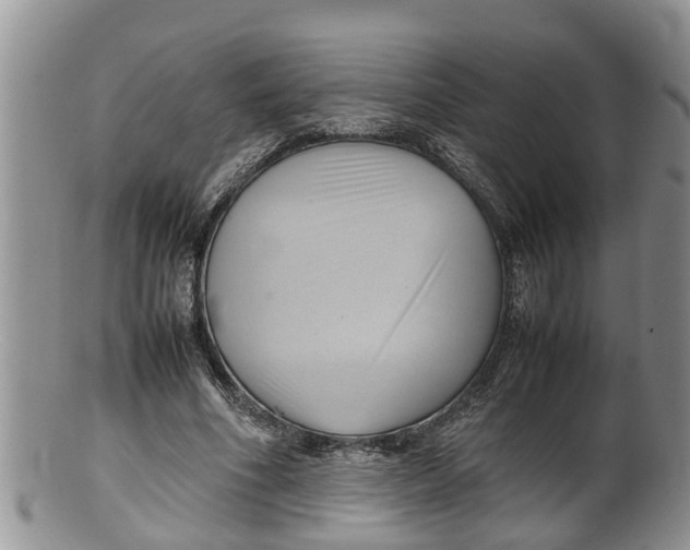 X0000100190586200806201359