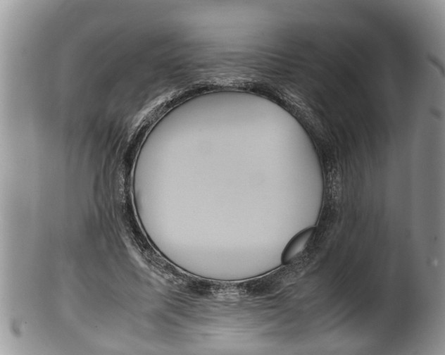 X0000100190587200806201359