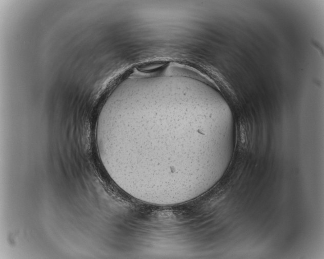 X0000100190588200806201359