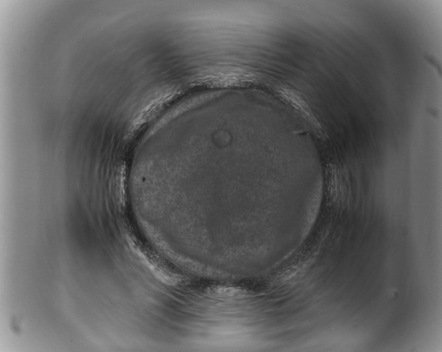 X0000100190590200806201359