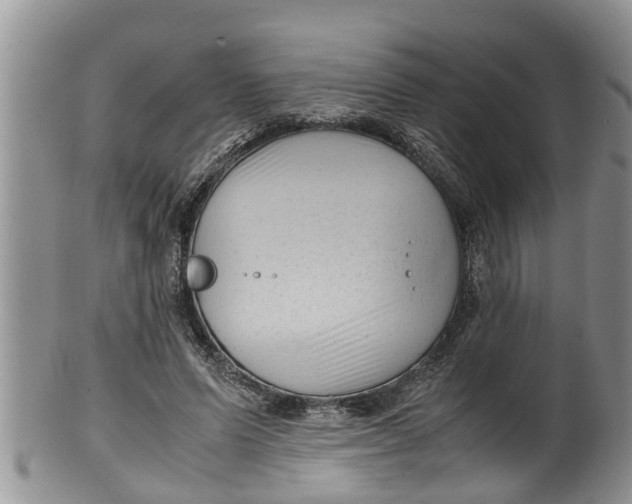 X0000100190591200806201359