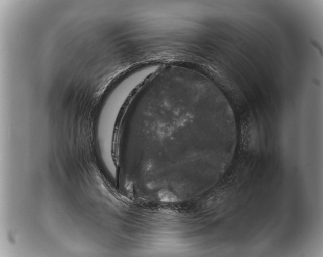 X0000100190592200806201359