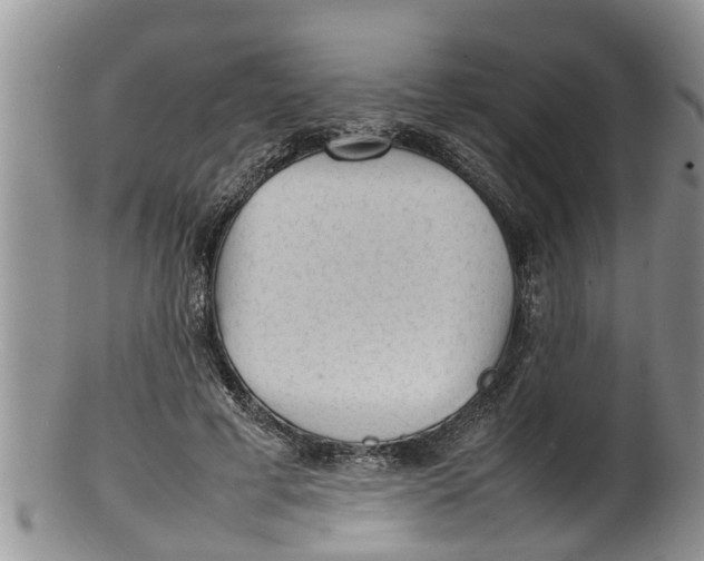 X0000100190593200806201359