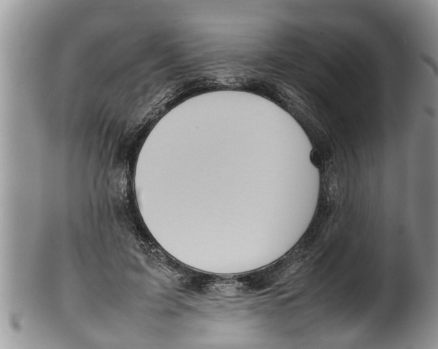 X0000100190595200806201359
