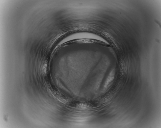 X0000100190596200806201359